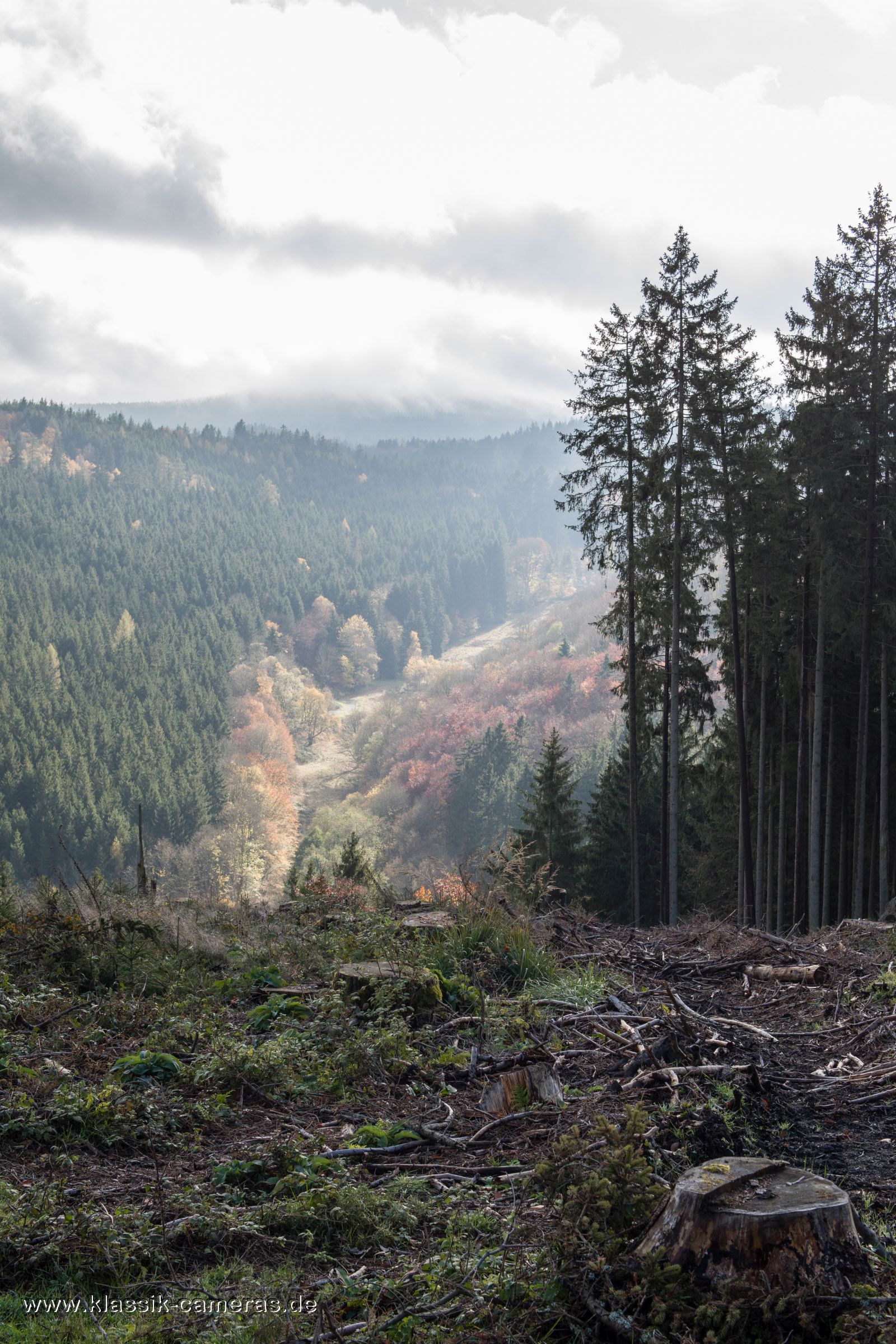 Taunus
                                                          Herbst